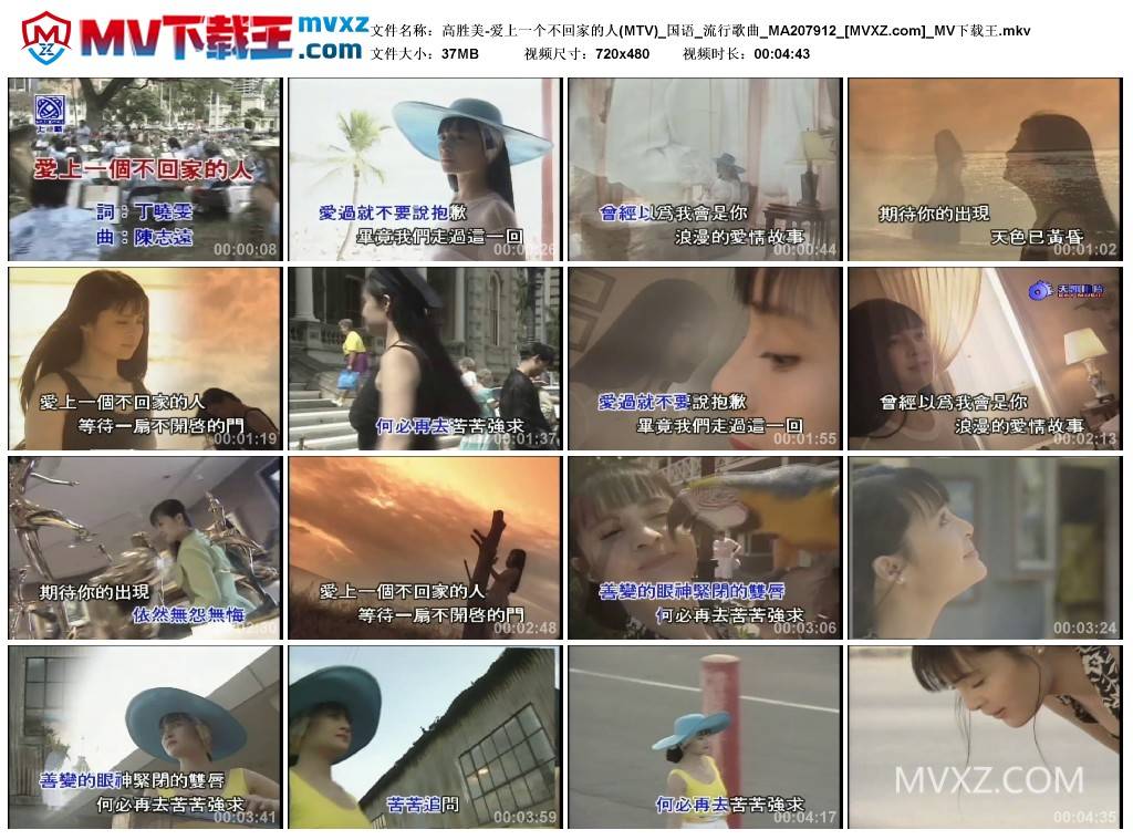 高胜美-爱上一个不回家的人(MTV)_国语_流行歌曲_MA207912